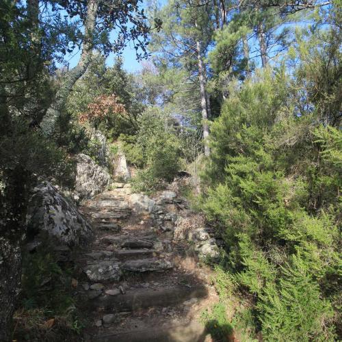 Occitanie Rando Randonnee Herault Saint Martin De Larcon Caroux 01