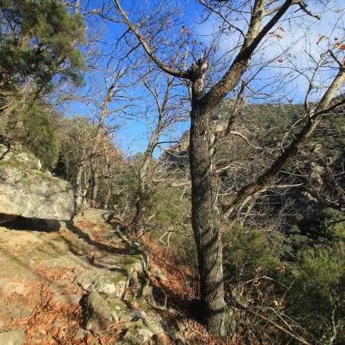 Occitanie Rando Randonnee Herault Saint Martin De Larcon Caroux 03