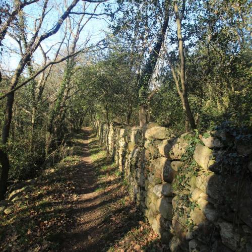 Occitanie Rando Randonnee Herault Saint Martin De Larcon Caroux 08
