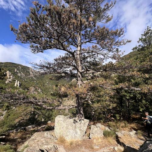 Occitanie Rando Trekking Legende Premian Langlade Vezoles 82