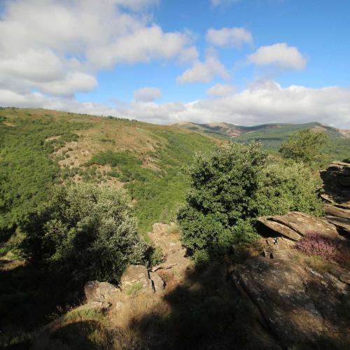 Occitanie Rando Randonnee Herault Combes Foret Ecrivains Combattants 04