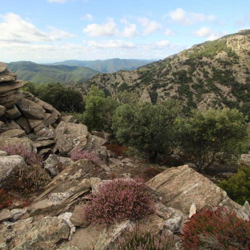 Occitanie Rando Randonnee Herault Combes Foret Ecrivains Combattants 08
