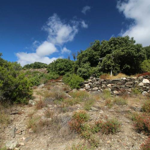 Occitanie Rando Randonnee Herault Combes Foret Ecrivains Combattants 12