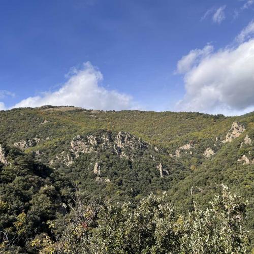 Occitanie Rando Trekking Graissessac Espaze Mine Monts Orb 133