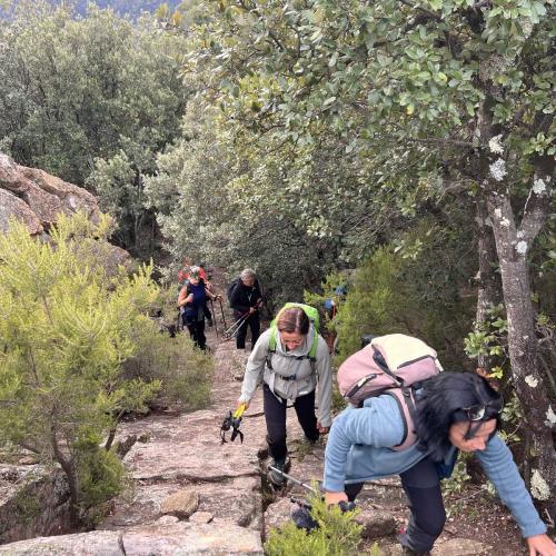 Occitanie Rando Randonnee Herault Caroux Seilhols Intiation Trekking 11
