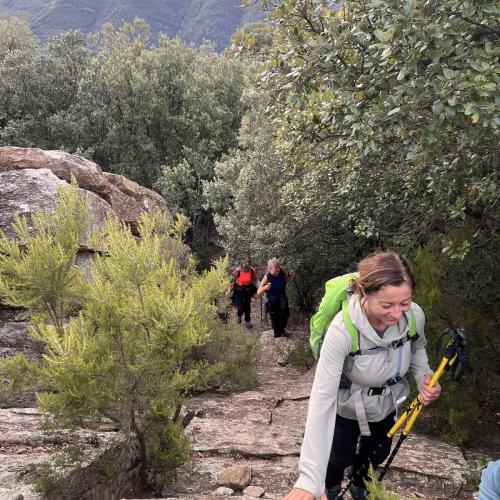 Occitanie Rando Randonnee Herault Caroux Seilhols Intiation Trekking 12