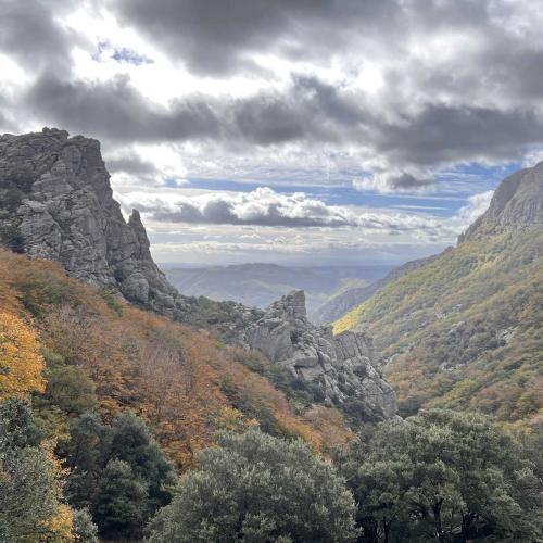 Occitanie Rando Randonnee Herault Caroux Seilhols Intiation Trekking 21