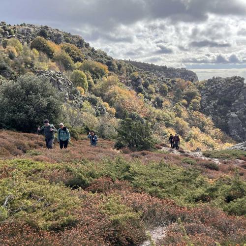 Occitanie Rando Randonnee Herault Caroux Seilhols Intiation Trekking 29