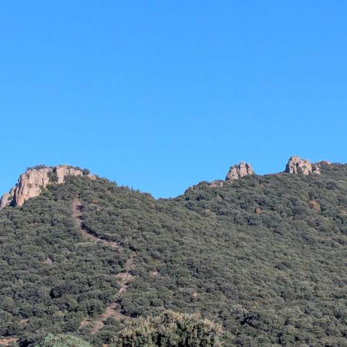 Occitanie Rando Randonnee Herault Saint Saturnin Rocher Deux Vierges 16