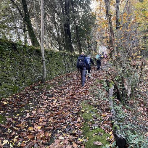 Occitanie Rando Trekking Saint Gervais Sur Mare Croix De Marcou 04