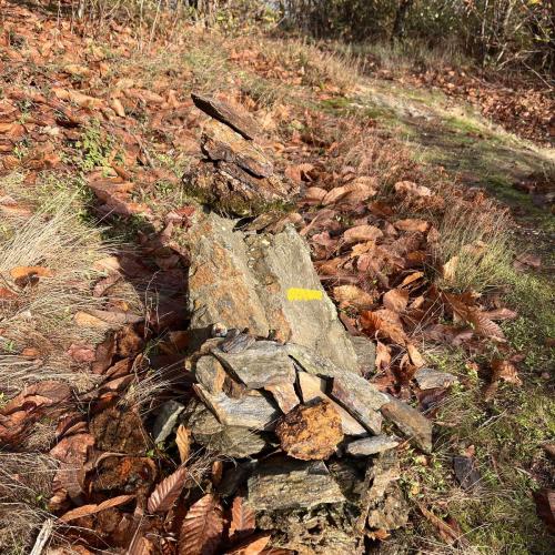 Occitanie Rando Trekking Saint Gervais Sur Mare Croix De Marcou 07