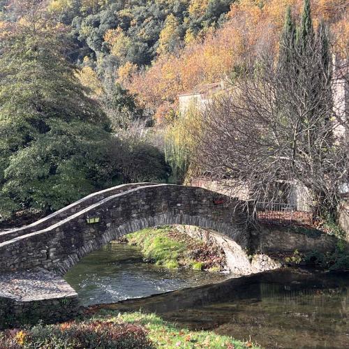 Occitanie Rando Trekking Saint Gervais Sur Mare Croix De Marcou 16