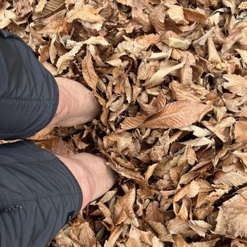 Occitanie Rando Randonnee Herault Saint Gervais Sur Mare Banissous 102