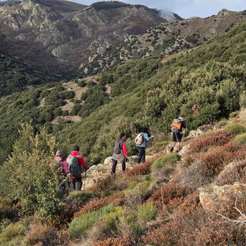 Occitanie Rando Randonnee Herault Saint Gervais Sur Mare Banissous 27
