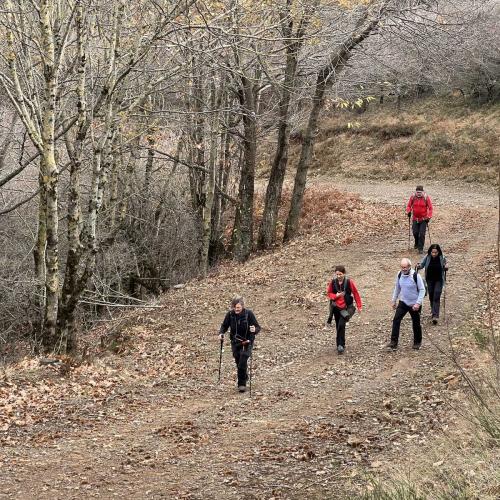 Occitanie Rando Randonnee Herault Saint Gervais Sur Mare Banissous 94
