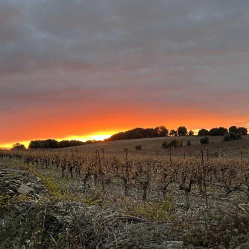 Occitanie Rando Trekking Grp Tour Minervois Faugeres 36km 06
