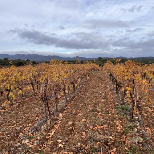 Occitanie Rando Trekking Grp Tour Minervois Faugeres 36km 40