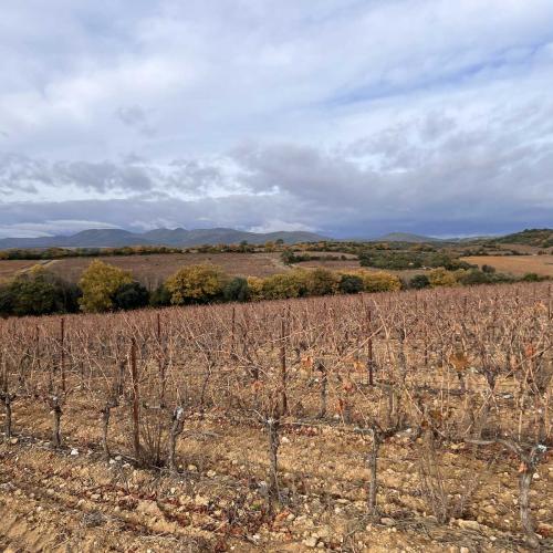 Occitanie Rando Trekking Grp Tour Minervois Faugeres 36km 44