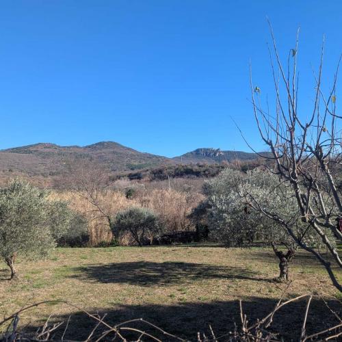 Occitanie Rando Rando Lodeve Bois Latude 02