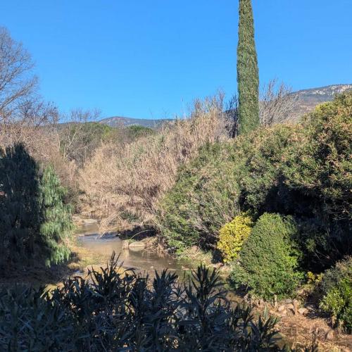 Occitanie Rando Rando Lodeve Bois Latude 07