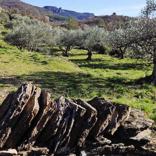 Occitanie Rando Rando Lodeve Bois Latude 11