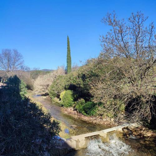 Occitanie Rando Rando Lodeve Bois Latude 16