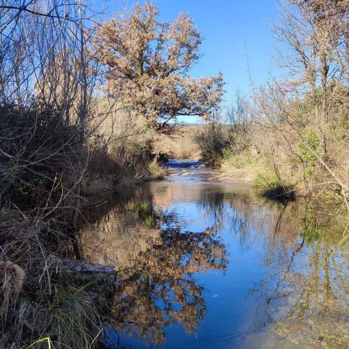 Occitanie Rando Rando Lodeve Bois Latude 32