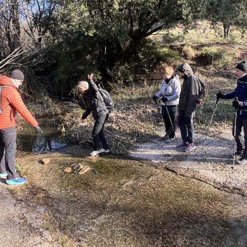 Occitanie Rando Rando Lodeve Bois Latude 53