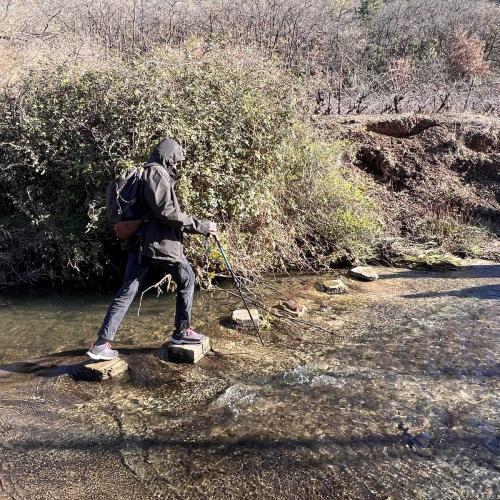 Occitanie Rando Rando Lodeve Bois Latude 71