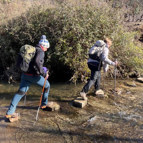 Occitanie Rando Rando Lodeve Bois Latude 73