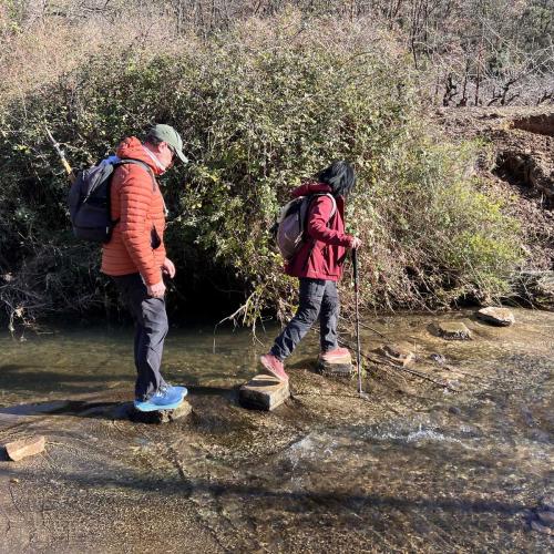 Occitanie Rando Rando Lodeve Bois Latude 74
