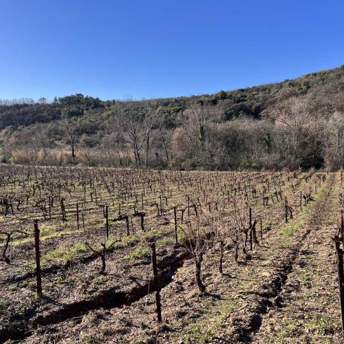 Occitanie Rando Rando Lodeve Bois Latude 75