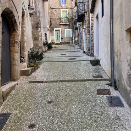 Occitanie Rando Rando Lodeve Bois Latude 79