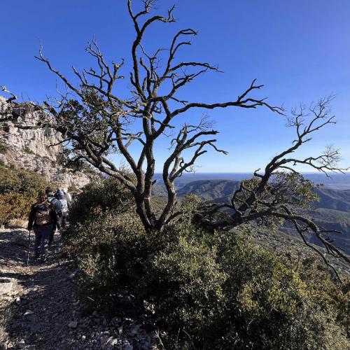 Occitanie Rando Rando Montpeyroux Mont Saint Baudille 76