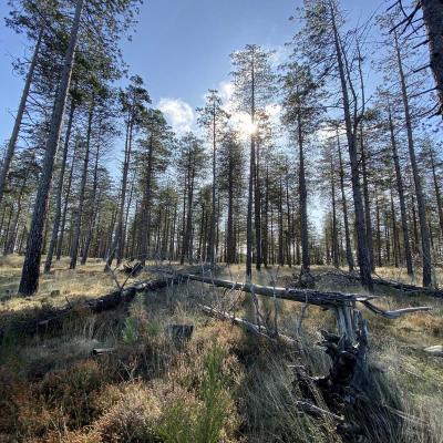 Occitanie Rando Trekking Herault Grp Montagne Haut Languedoc Espinouse Caroux 102