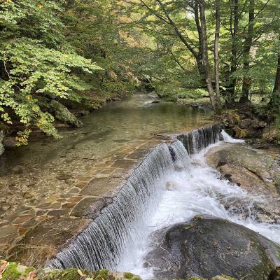 Occitanie Rando Trekking Herault Grp Montagne Haut Languedoc Espinouse Caroux 354