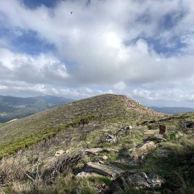 Occitanie Rando Trekking Herault Grp Montagne Haut Languedoc Espinouse Caroux 431