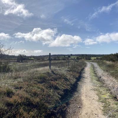 Occitanie Rando Trekking Herault Grp Montagne Haut Languedoc Espinouse Caroux 99