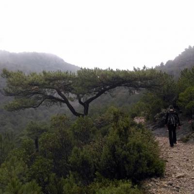 Occitanie Rando Randonnee Herault Saint Guilhem Desert Ermitage Dame Belle Grace 16