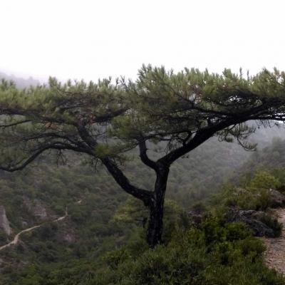 Occitanie Rando Randonnee Herault Saint Guilhem Desert Ermitage Dame Belle Grace 17