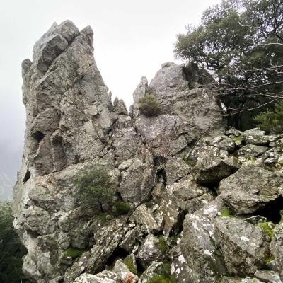 Occitanie Rando Trekking Herault Caroux Sentier Superieur Cabalet Mons 30