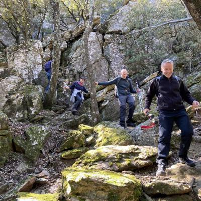 Occitanie Rando Trekking Herault Caroux Albine Portail Cades Colombires 74