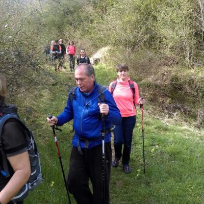 2104 Roqueredonde Plateau Escandorgue 002