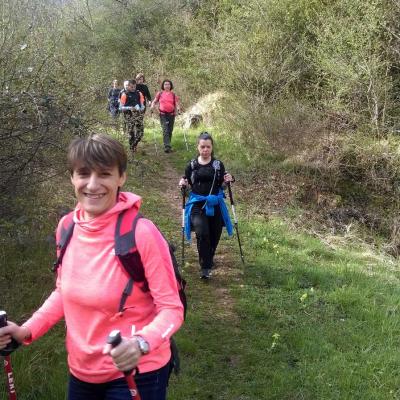 2104 Roqueredonde Plateau Escandorgue 003