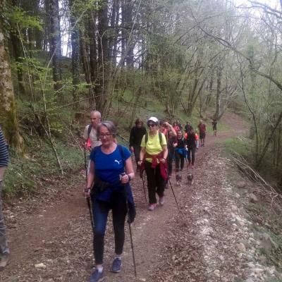 2104 Roqueredonde Plateau Escandorgue 009