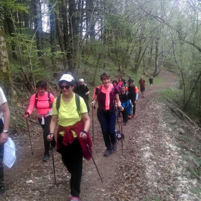 2104 Roqueredonde Plateau Escandorgue 010