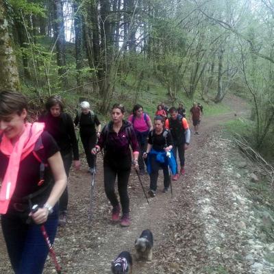 2104 Roqueredonde Plateau Escandorgue 011