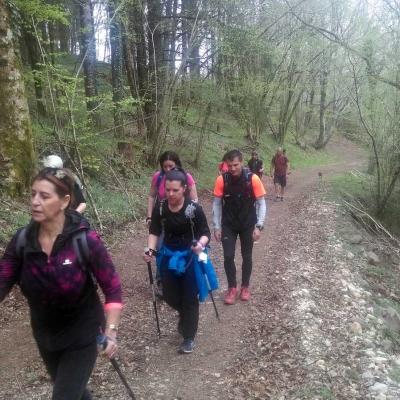 2104 Roqueredonde Plateau Escandorgue 012