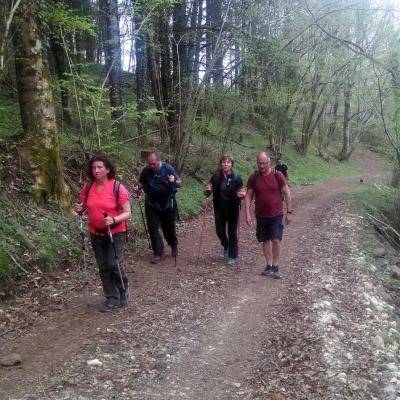 2104 Roqueredonde Plateau Escandorgue 015