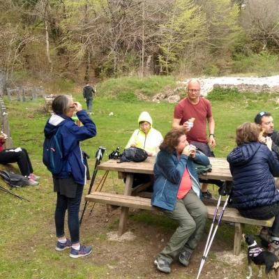 2104 Roqueredonde Plateau Escandorgue 026